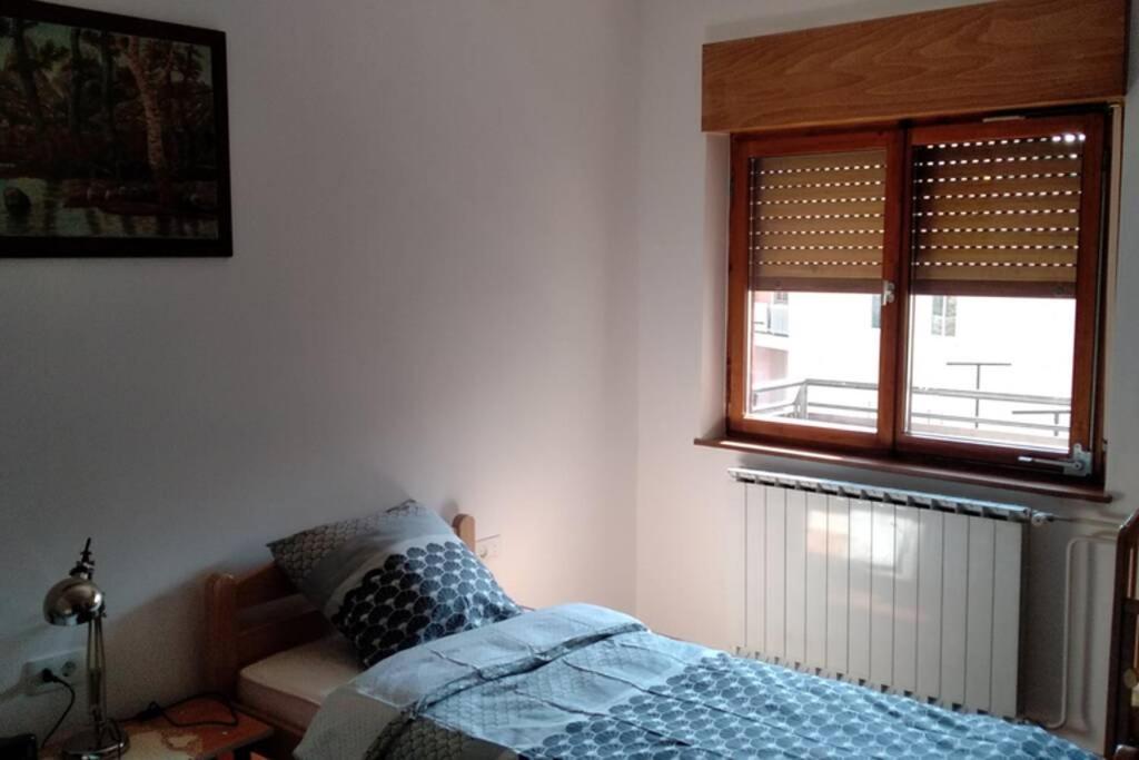Apartment Zrm Center *