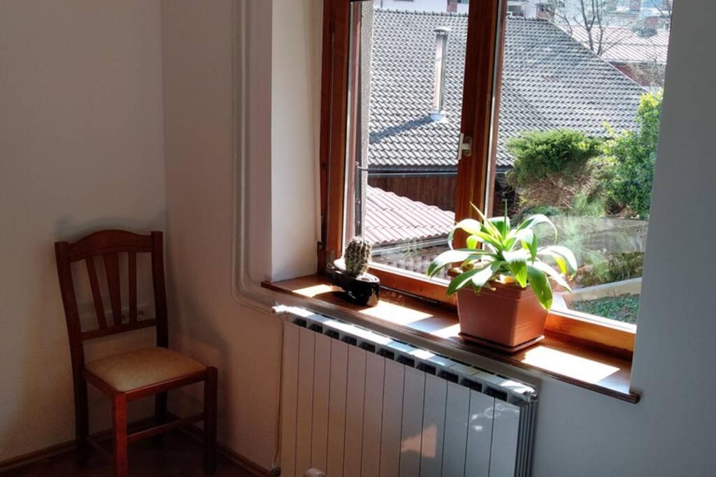 Apartment Zrm Center